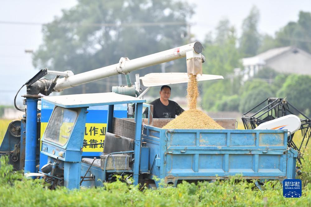 790游戏的银商微信号